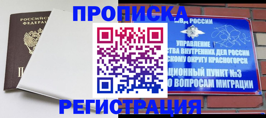 прописка в Мытищах